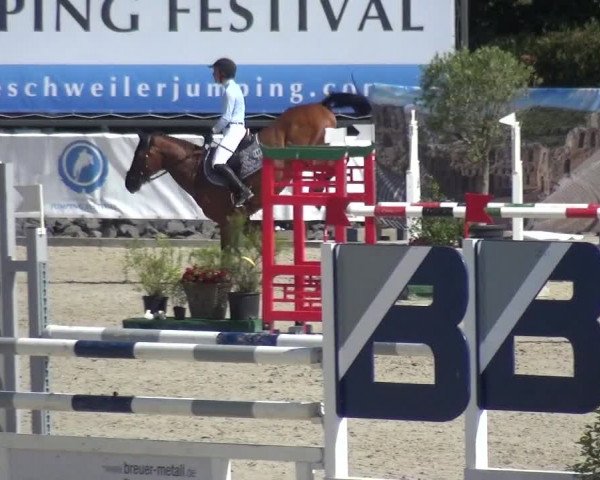 FEI Reitturnier Eschweiler (GER) 2020