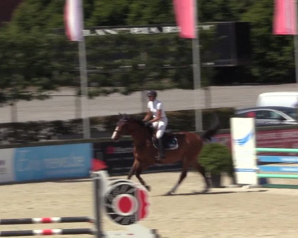 Gold +Cyclus Jonge Paarden in Lier (BEL) 2020