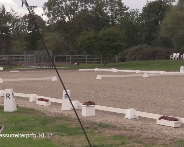 Rheinische Meisterschaften 2020