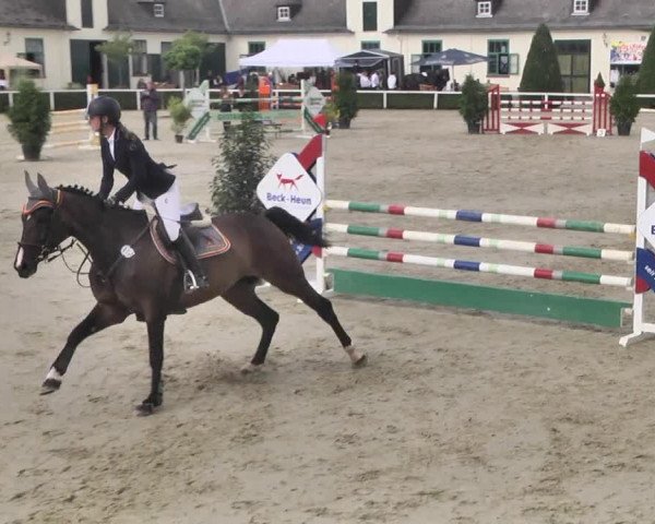 Reitturnier St.Wendel, Gestüt Welvert 2020