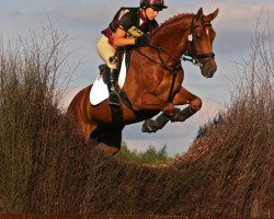 stallion Legend (Trakehner, 2003, from Holme Park Krüg)