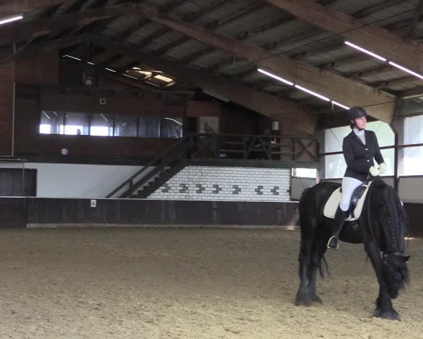 Reitturnier Bühren-Breckerfeld 2020