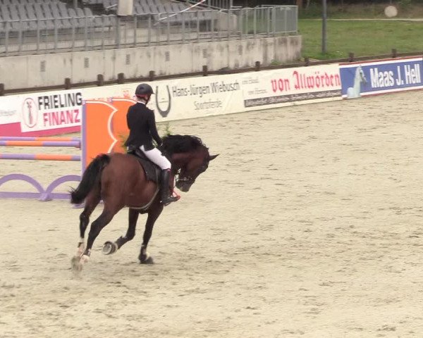 Reitturnier Westergellersen 2020