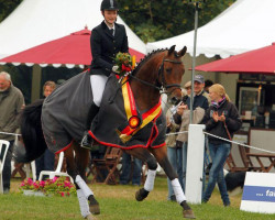 Deckhengst Herbstkönig 2 (Trakehner, 2008, von Interconti)