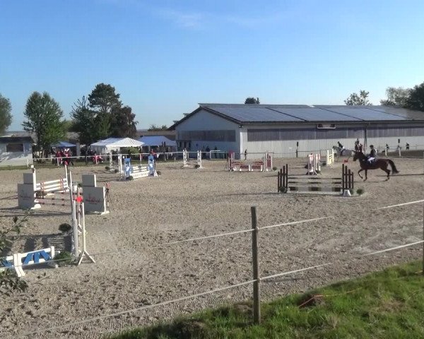 Reitturnier Eitorf-Lindscheid 2020