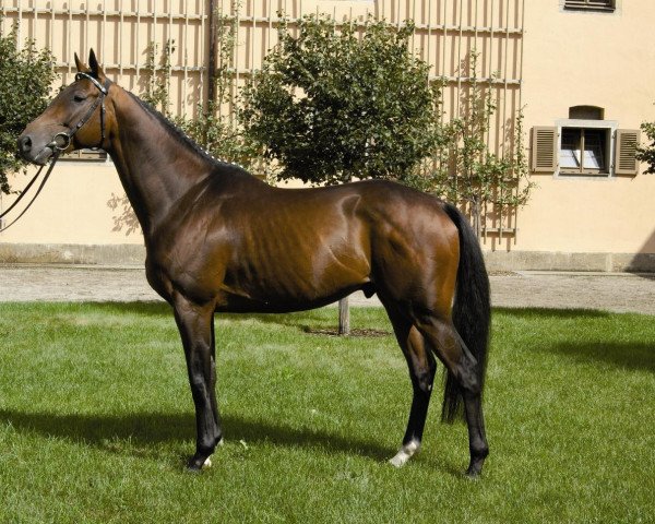 stallion Fiepes Winged xx (Thoroughbred, 2001, from Winged Love xx)