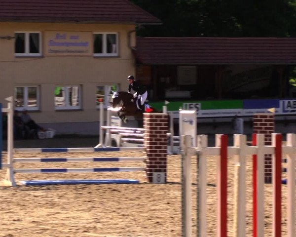 Reitturnier Lgl.-Oberhain, B95 2020