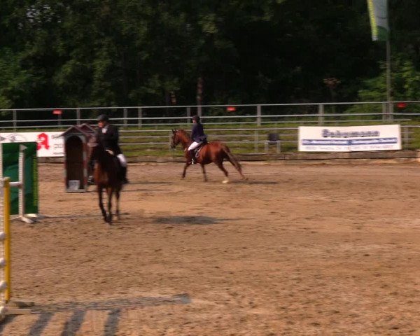 Reitturnier Lgl.-Oberhain, B95 2020