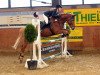 jumper Leroy 129 (German Riding Pony, 2001)