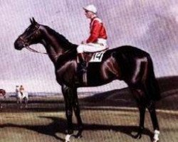 stallion Supreme Court xx (Thoroughbred, 1948, from Precipitation xx)