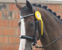 dressage horse Lumidee 5 (Westphalian, 2004, from Laurentianer)