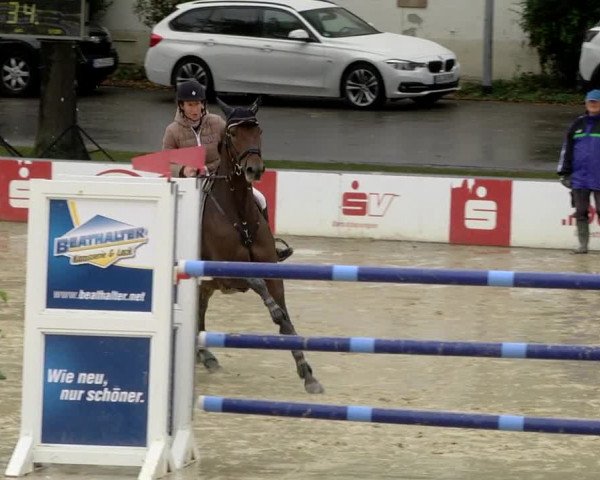 Reitturnier Schutterwald 2020