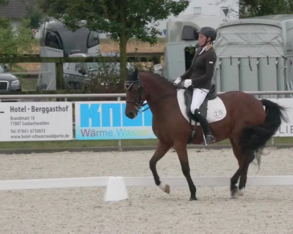 Reitturnier Achern 2020