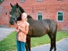 dressage horse Jule 218 (German Riding Pony, 2002, from Kennedy WE)