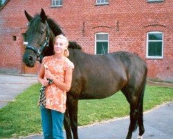 dressage horse Jule 218 (German Riding Pony, 2002, from Kennedy WE)