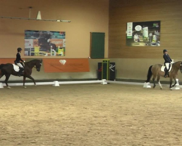 Reitturnier Gut Winkelacker/Obb. 2020