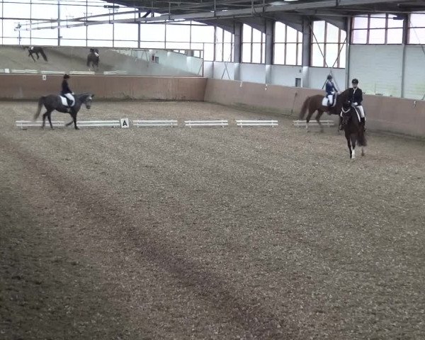 Reitturnier Leichlingen 2020