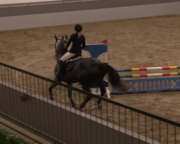 Reitturnier Luhmühlen 2020