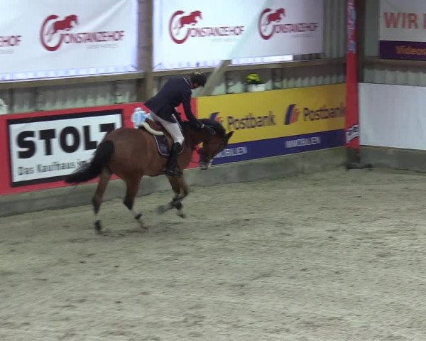 Reitturnier Negernbötel 2020, 5. Nordic Jumping event 2020/2021