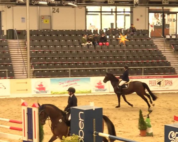 Reitturnier Verden Montagsclub 2020