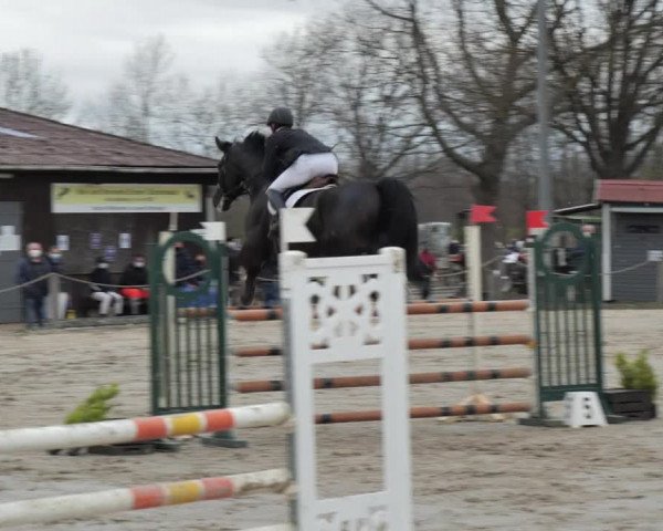 Reitturnier Scharnebeck 2021