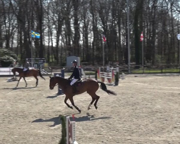 Reitturnier Klein Roscharden 2021