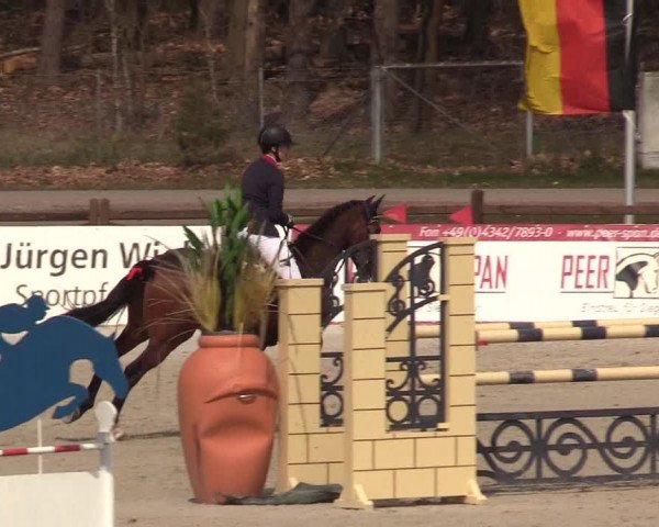 FEI Reitturnier Westergellersen (GER) 2021