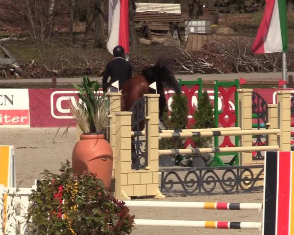 Reitturnier Westergellersen 2021