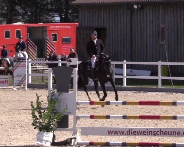 Reitturnier Ladelund 2021