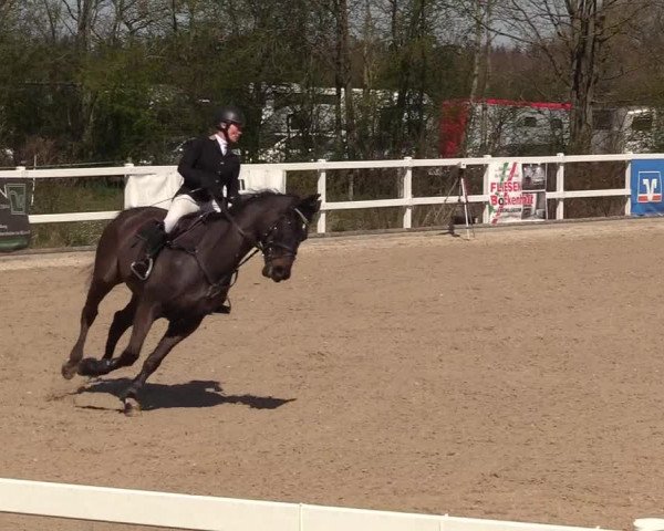 Reitturnier Ladelund 2021