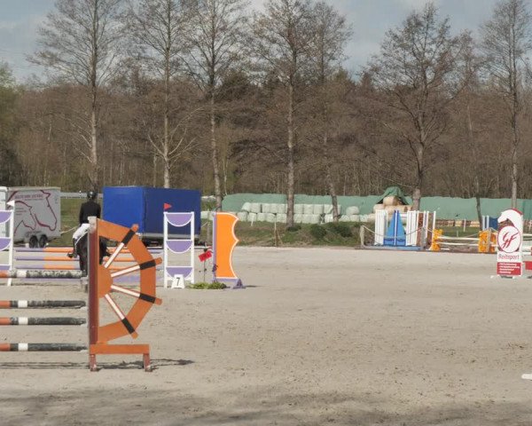 Reitturnier Handorf 2021