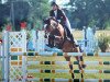 jumper Vengaboy (German Riding Pony, 1999, from Viscount)