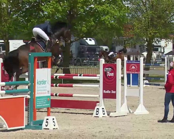 Reitturnier Rot am See- Musdorf 2021