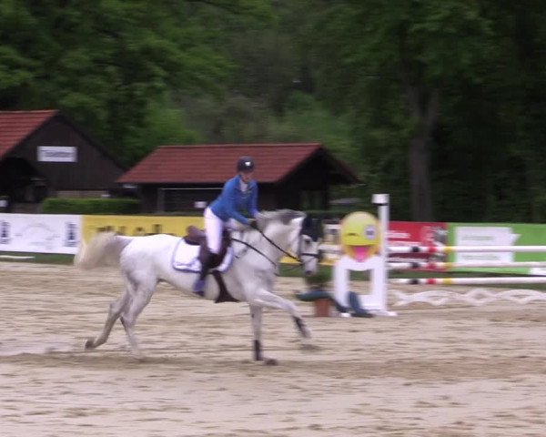 Reitturnier Münster-Handorf 2021