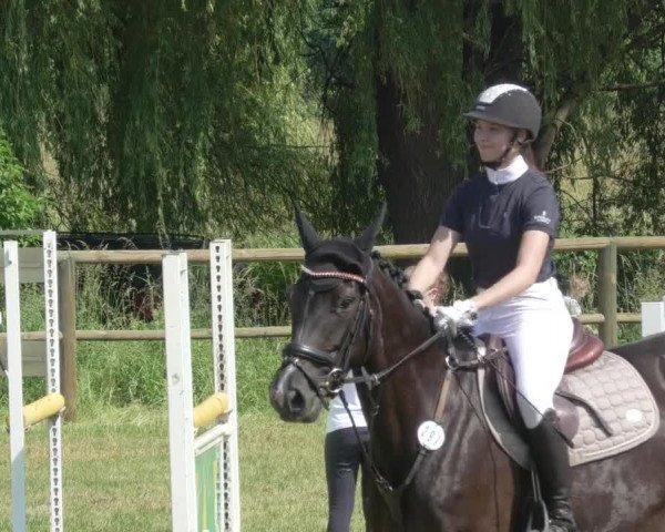 Reitturnier Lahr-Langenwinkel 2021