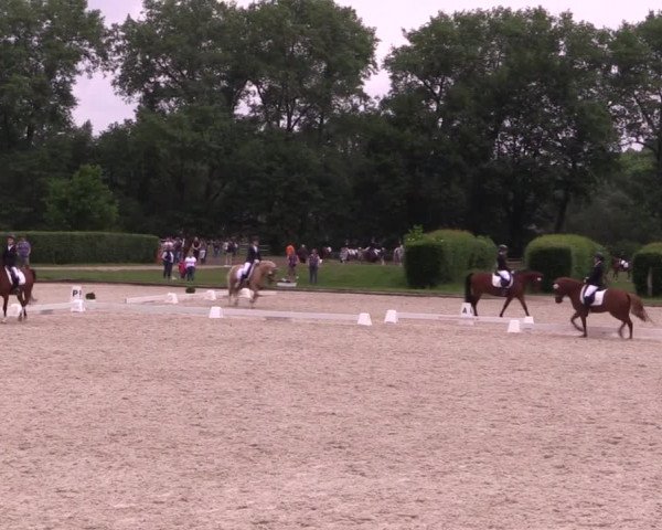 Reitturnier Münster-Handorf 2021
