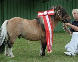 Deckhengst Schalenburgs Twister (Shetland Pony (unter 87 cm), 1999, von Tomcat)