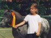 broodmare Bayern's Zwiebel (Dt.Part-bred Shetland pony, 1990, from Ghandi)