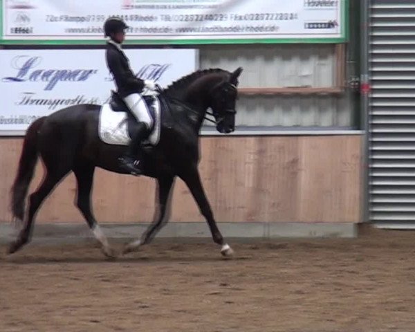 Reitturnier Rhede 2021