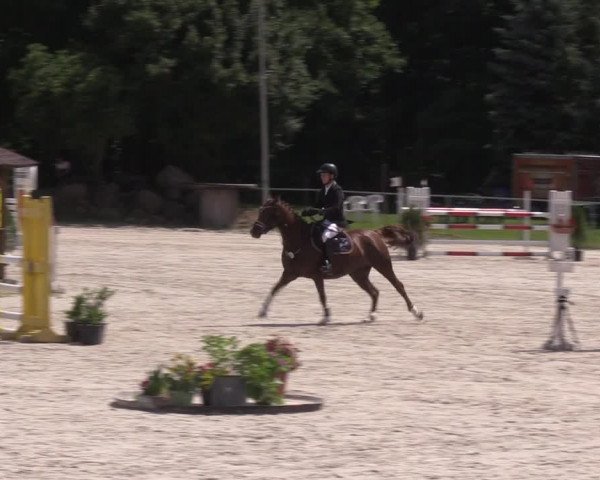 Reitturnier Pietzpuhl 2021