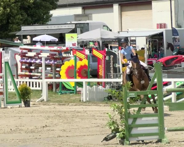 Reitturnier Melle-Ostenfelde 2021