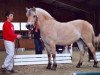 broodmare Lissla (Fjord Horse, 2003, from Dylan)