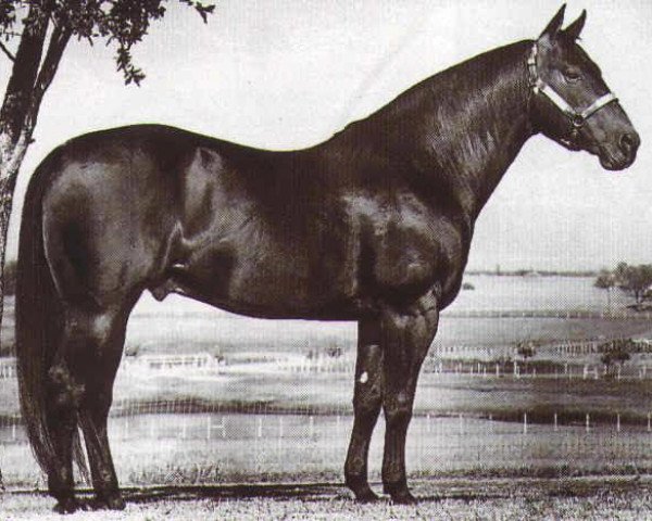 Deckhengst Doc OLena (Quarter Horse, 1967, von Doc Bar)