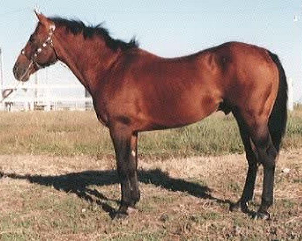 stallion Lena's Bonita (Quarter Horse, 1972, from Doc OLena)