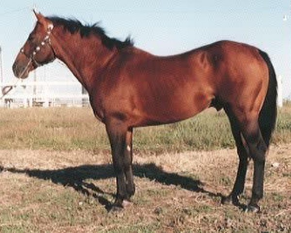 Deckhengst Lena's Bonita (Quarter Horse, 1972, von Doc OLena)