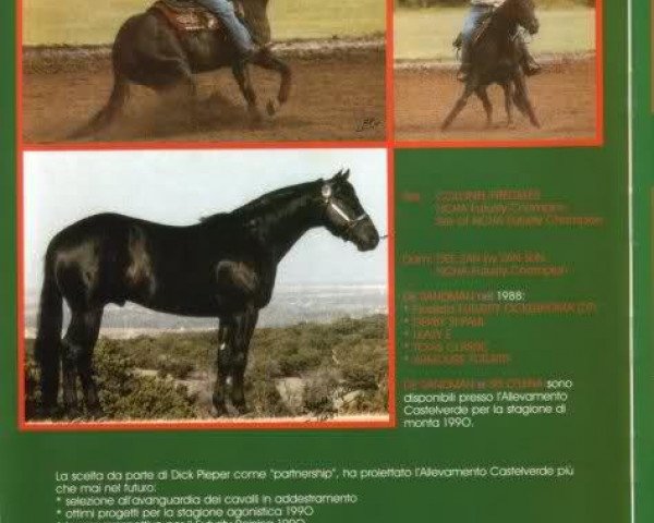 stallion DE Sandman (Quarter Horse, 1985, from Colonel Freckles)