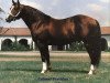 Deckhengst Colonel Freckles (Quarter Horse, 1973, von Jewel's Leo Bars)