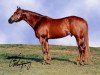 stallion Mr Moxie Man (Quarter Horse, 1983, from Skipa Star)