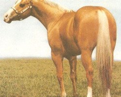 Deckhengst Doc's Gold Mine (Quarter Horse, 1969, von Doc Bar)