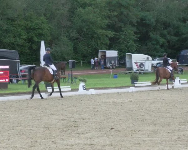 Reitturnier Heiligenwald 2021
